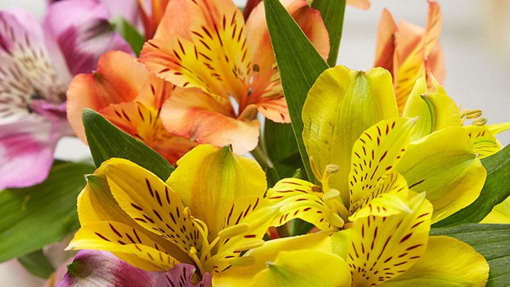 Design Tips: How to Make Yellow Flowers Stand Out in Your Arrangements