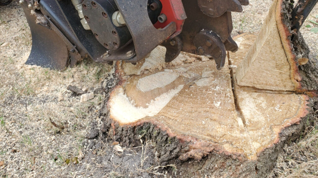 Stump Removal