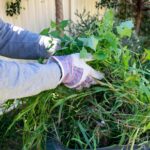 Green Waste Removal Sydney: Expert Tips and Services