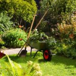 Why Green Waste Removal is Essential for Your Garden