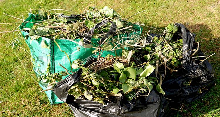 green waste removal