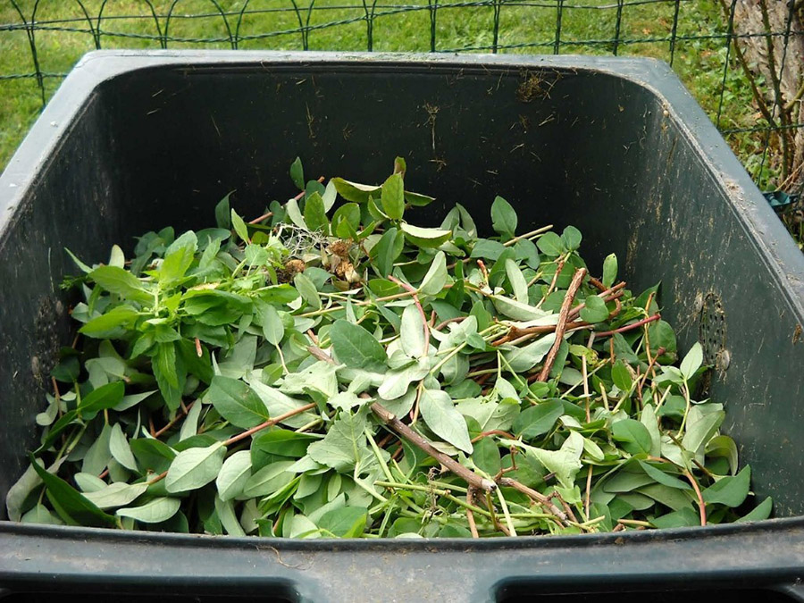 green waste removal Sydney