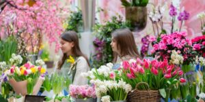 Neutral Bay Florist: Lush Arrangements to Impress