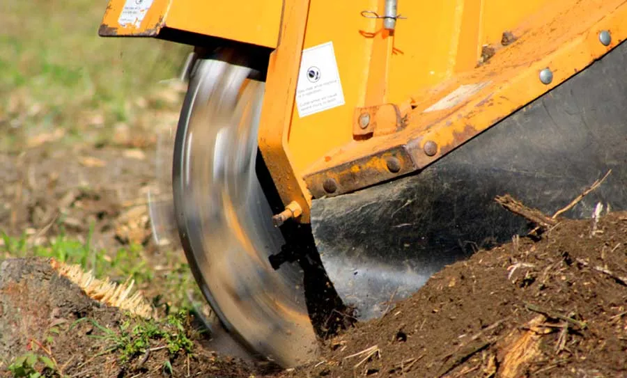 how much does stump grinding cost